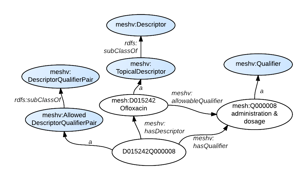 Descriptor Qualifier Pair RDF Graph Diagram